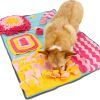 DPet Life 'Sniffer Snack' Interactive Feeding Pet Snuffle Mat